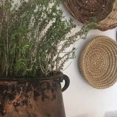 Sikuli E Sikani Bed & Breakfast Syracuse