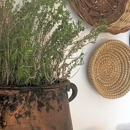 לינה וארוחת בוקר Sikuli E Sikani