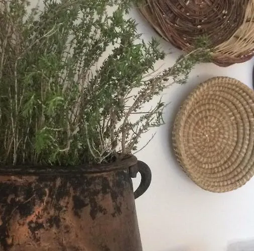 Sikuli E Sikani Bed and breakfast Syracuse